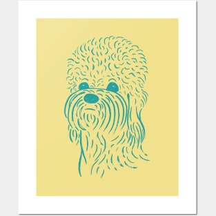 Dandie Dinmont Terrier (Yellow and Turquoise) Posters and Art